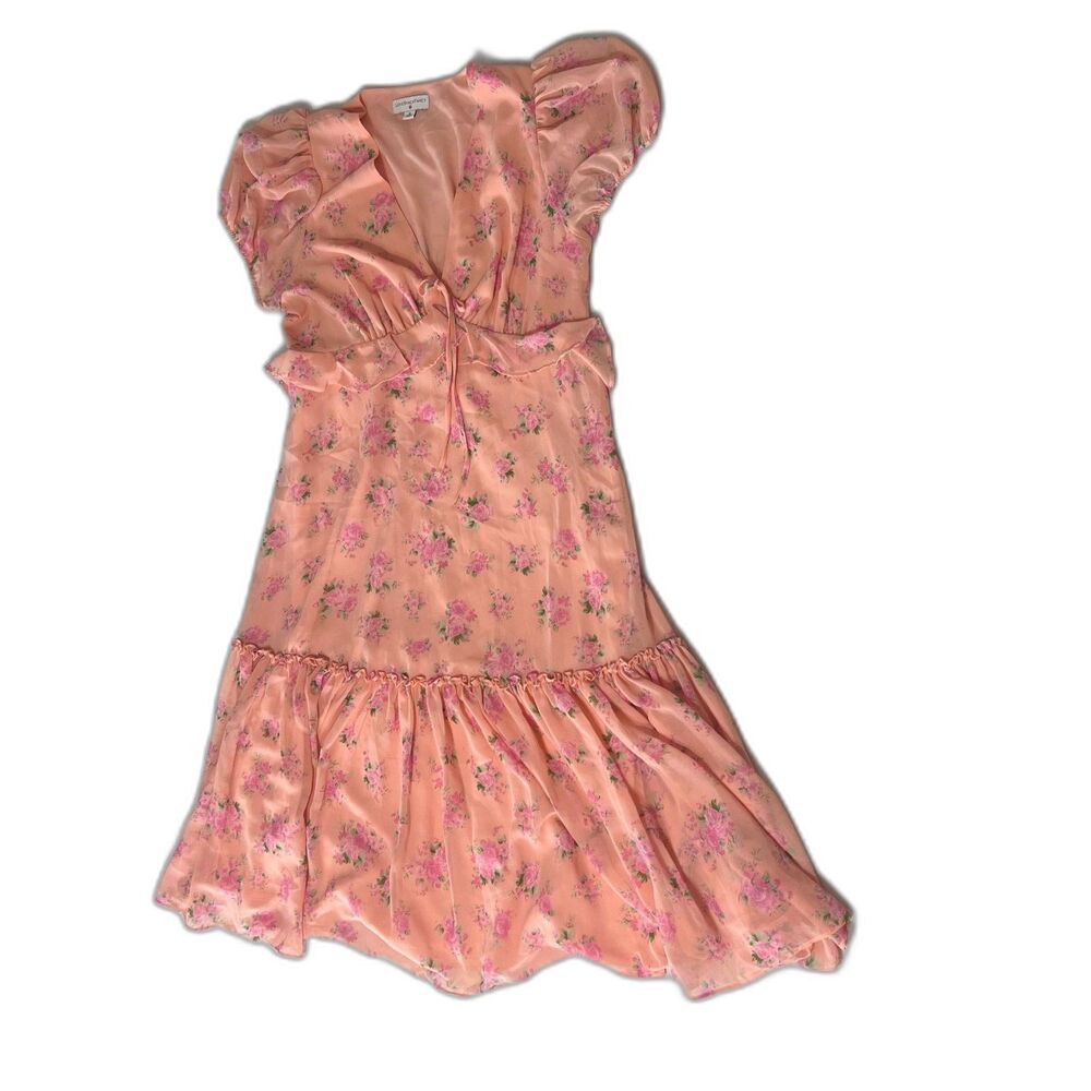 LoveShackFancy Target Womens 16 Pink Floral Puff Sleeve Ruffle Mini Dress
